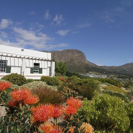 The Vineyard Cottage By L' Amitie Estate Franschhoek Exteriér fotografie