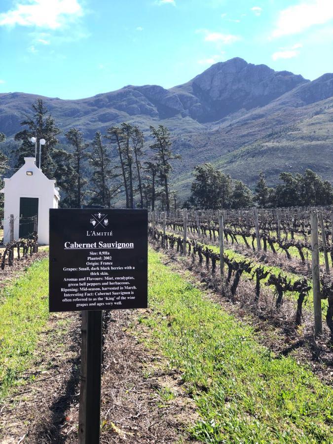 The Vineyard Cottage By L' Amitie Estate Franschhoek Exteriér fotografie